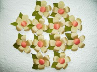 /album/broches1/p5270569-jpg/